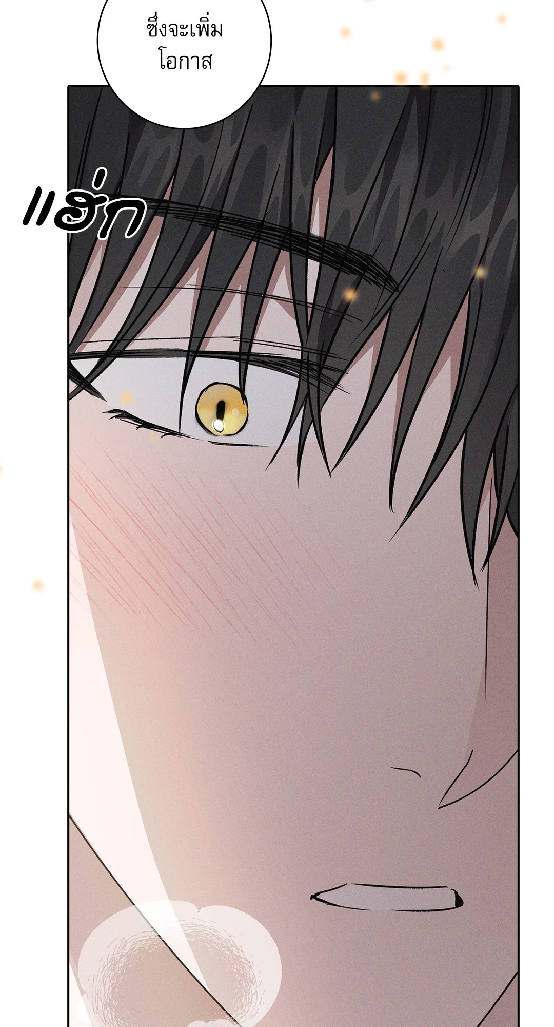 หน้า 97