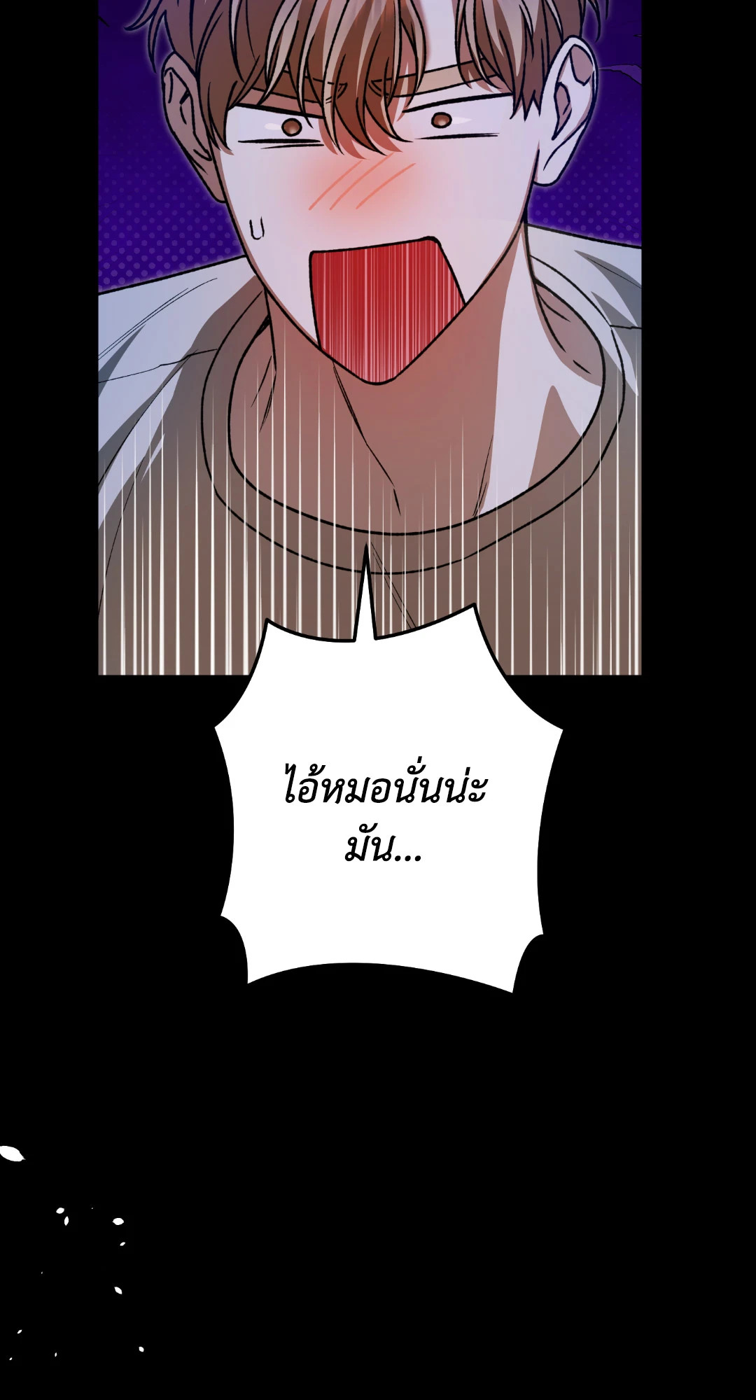 หน้า 102