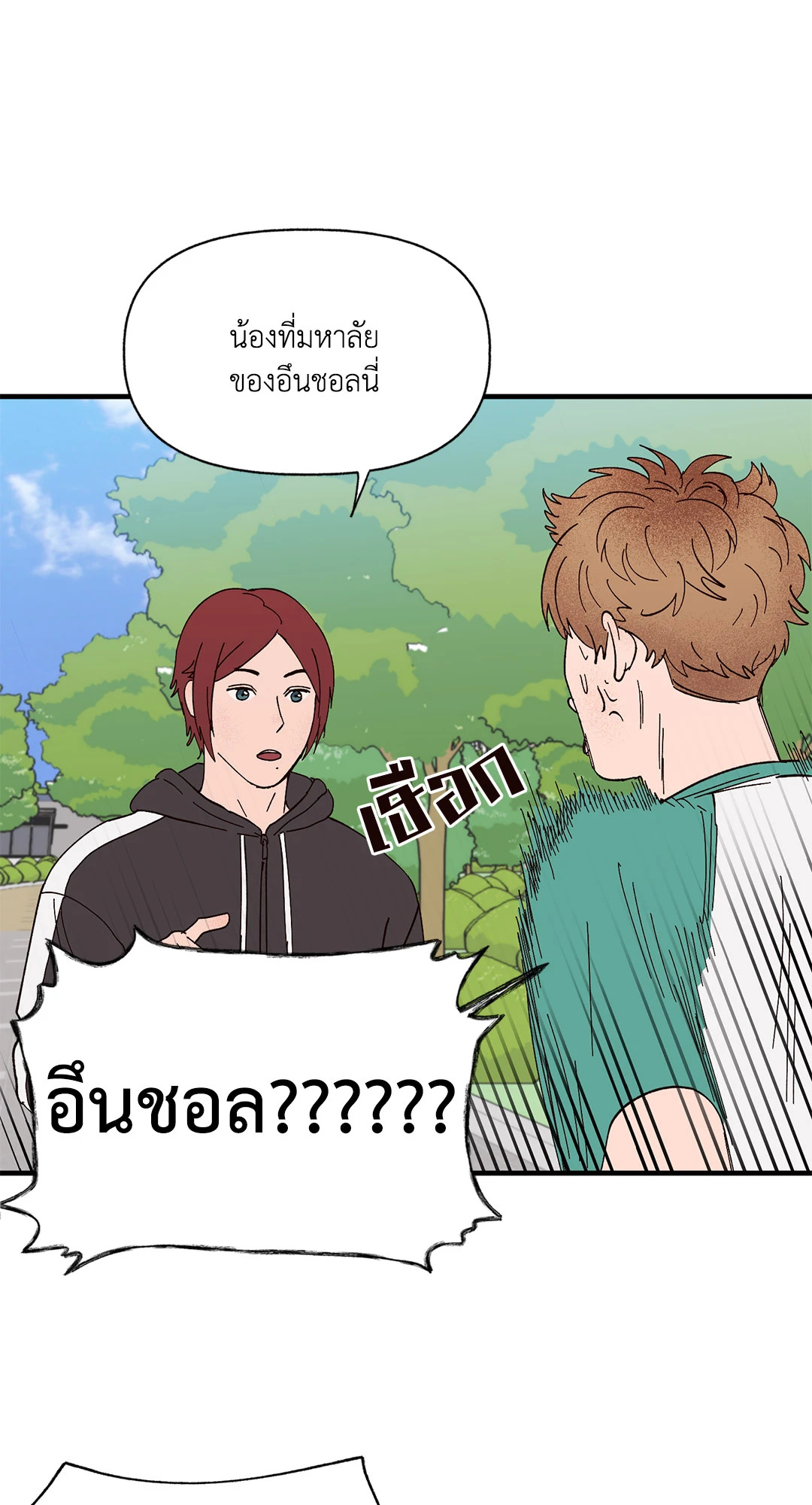หน้า 43