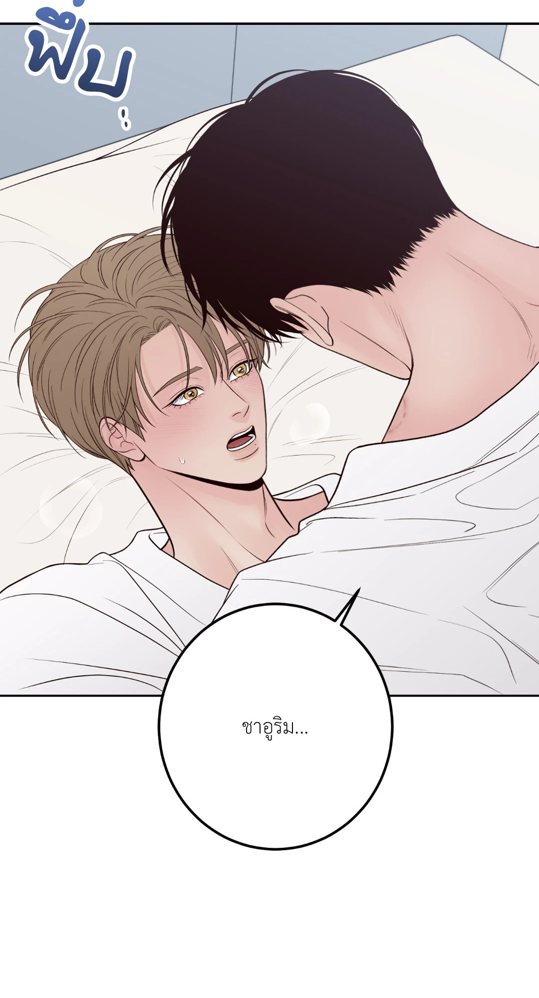 หน้า 102