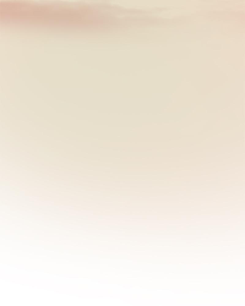 หน้า 102