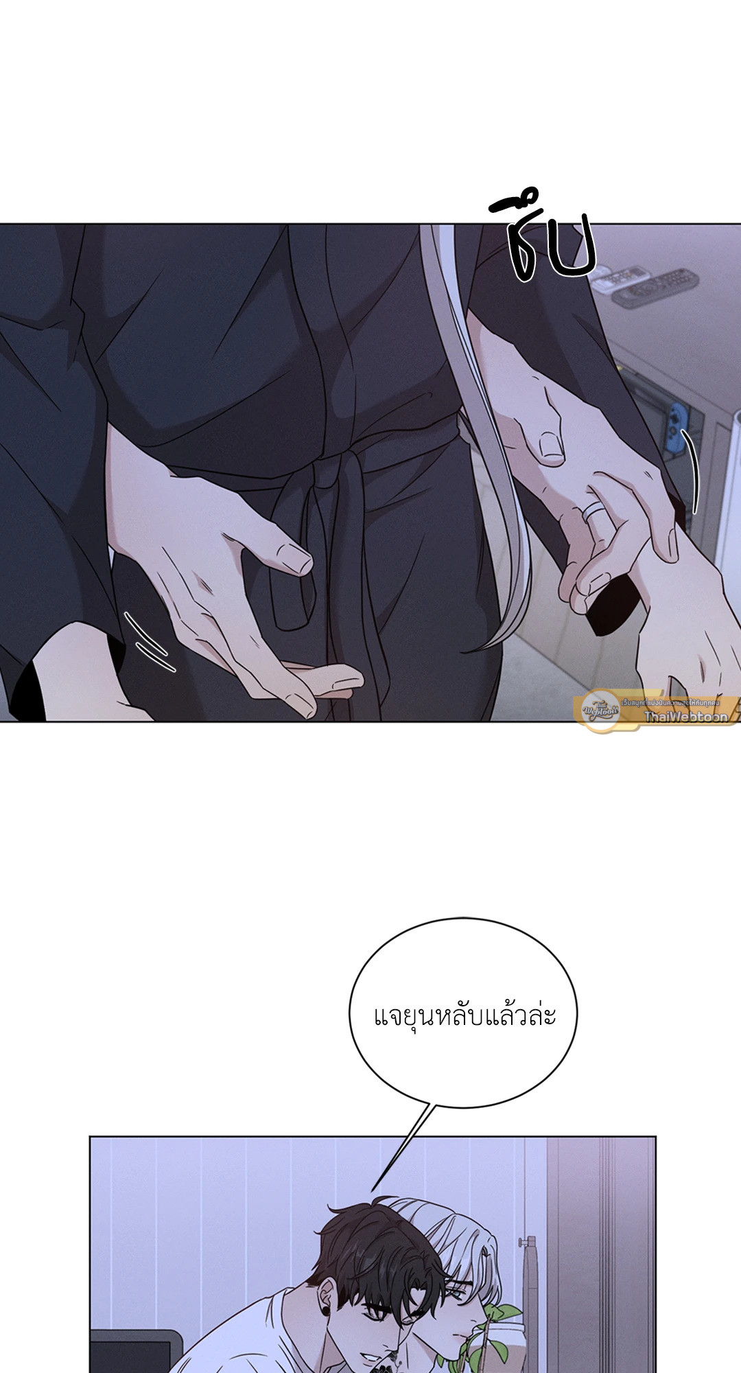 หน้า 30