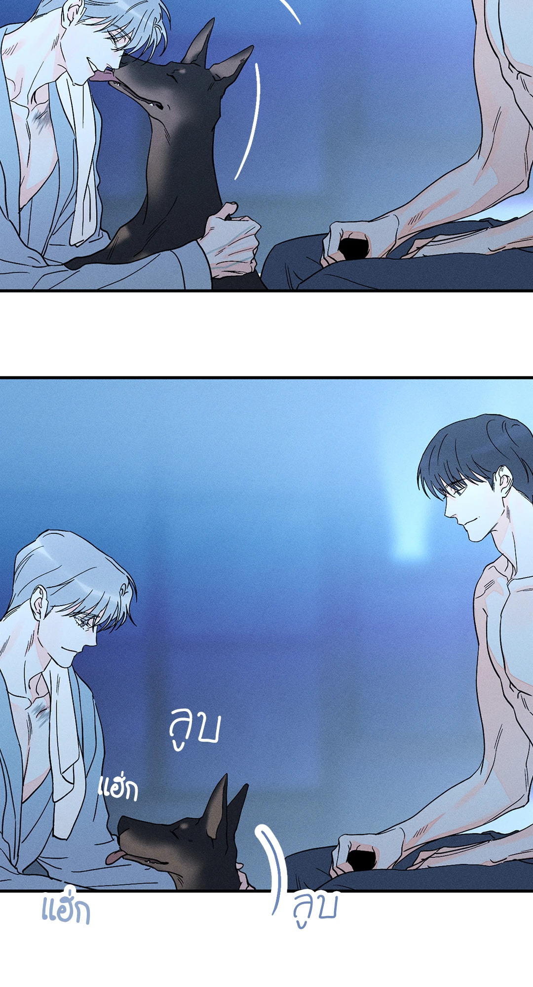 หน้า 11