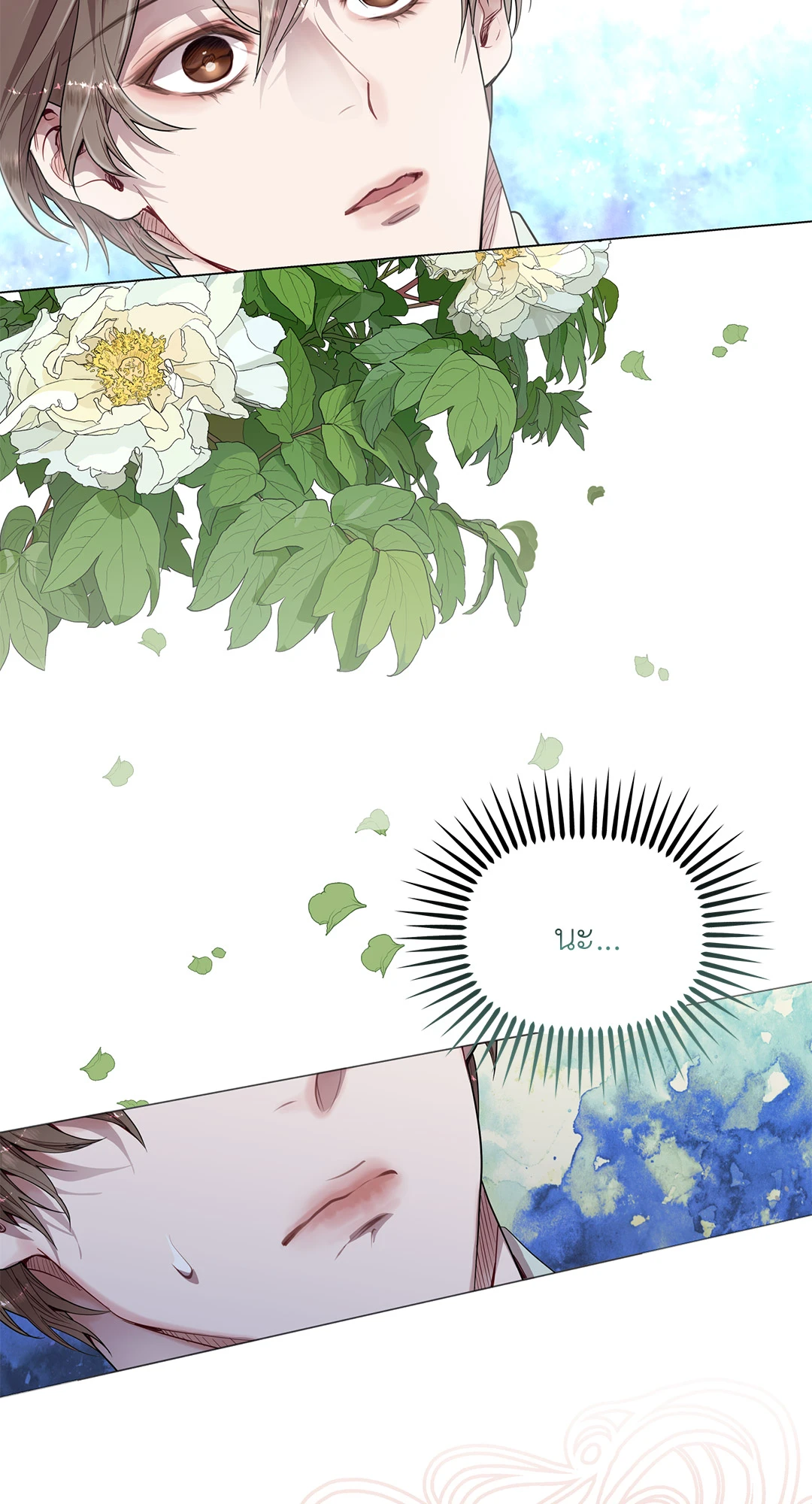 หน้า 29