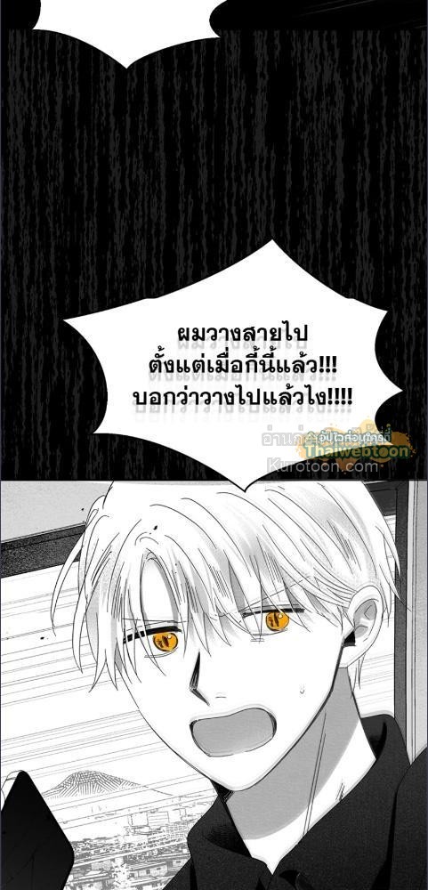 หน้า 81