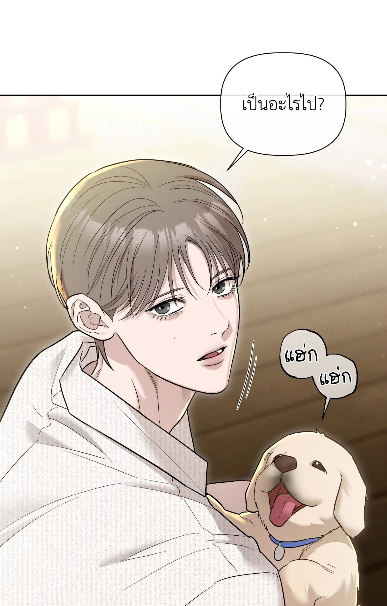 หน้า 19