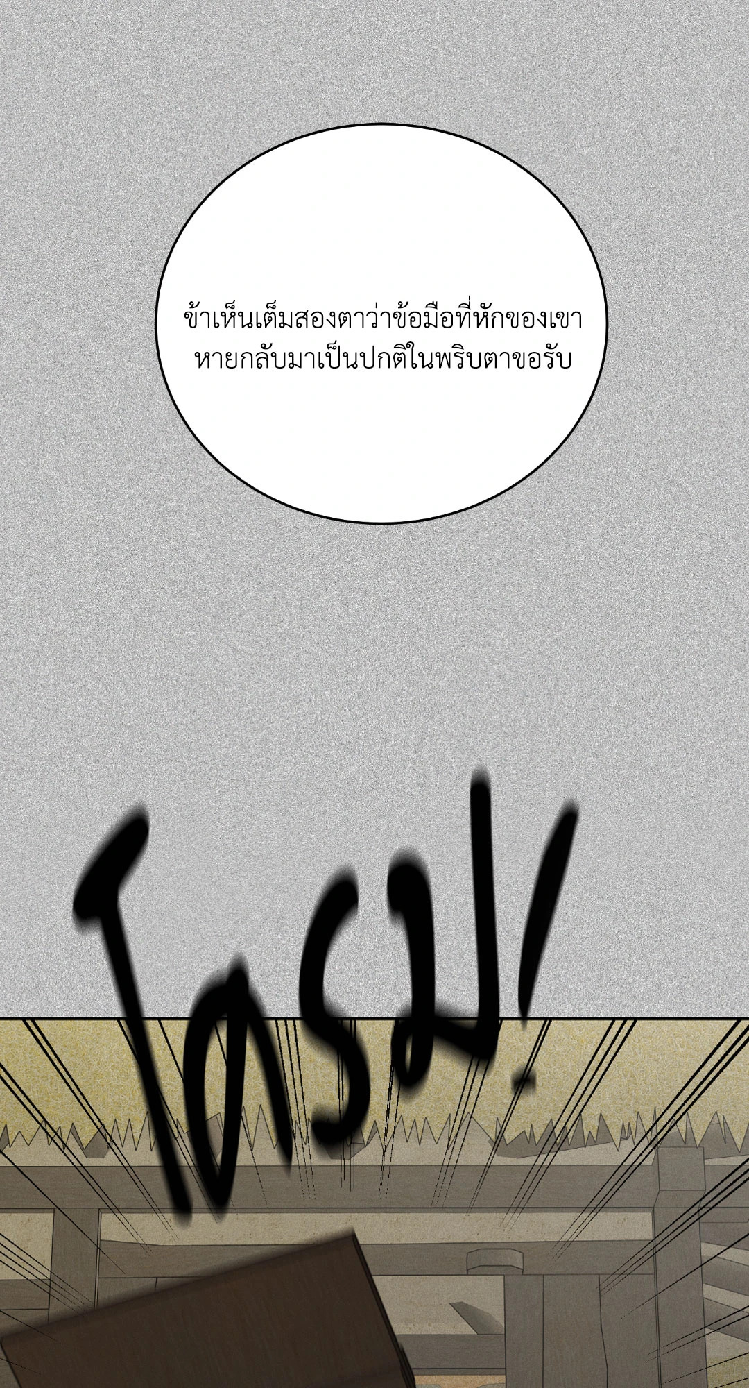 หน้า 102