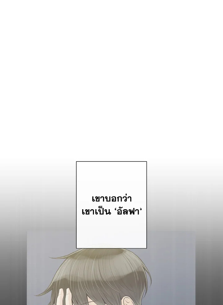 หน้า 95