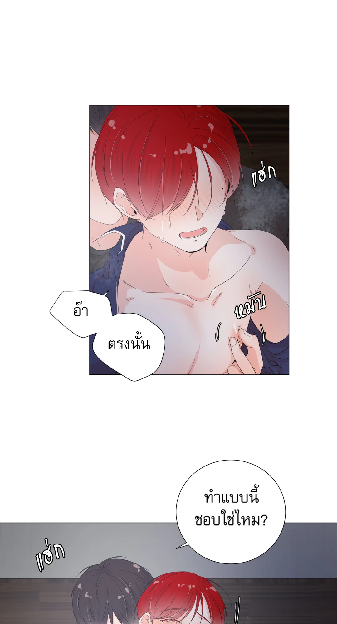 หน้า 41