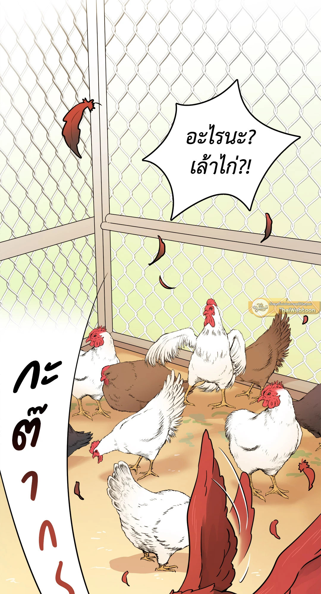 หน้า 51