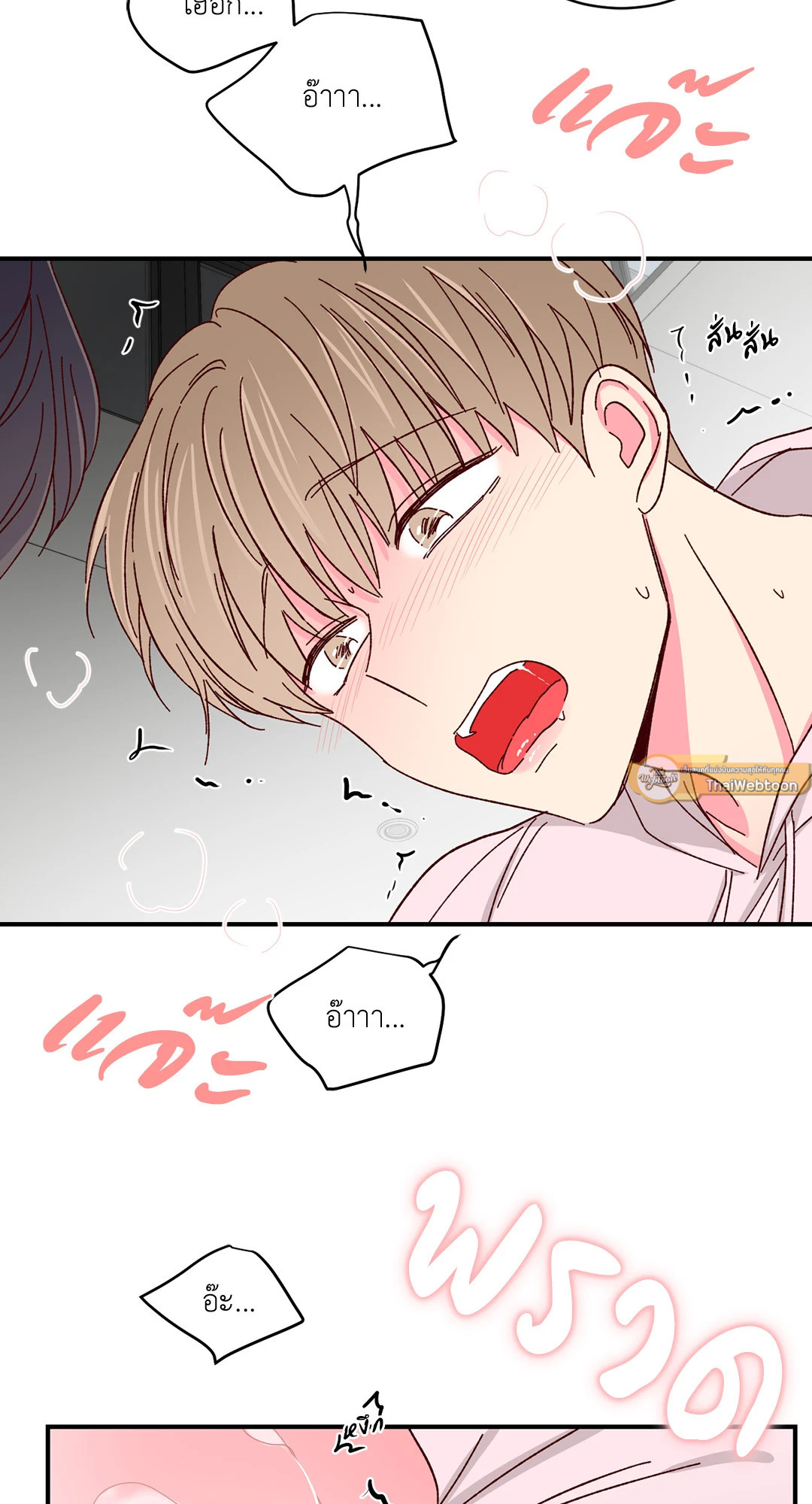หน้า 29