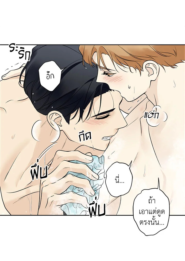 หน้า 52