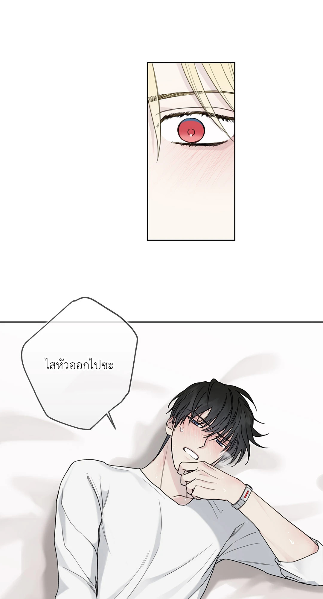 หน้า 42