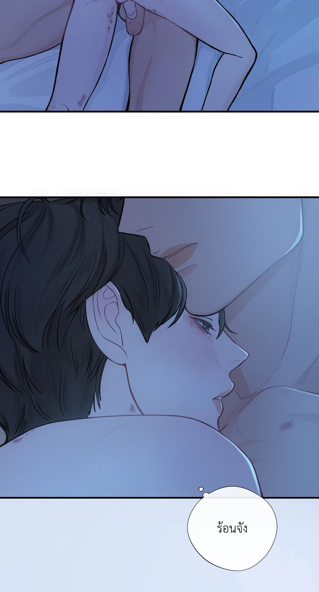 หน้า 41