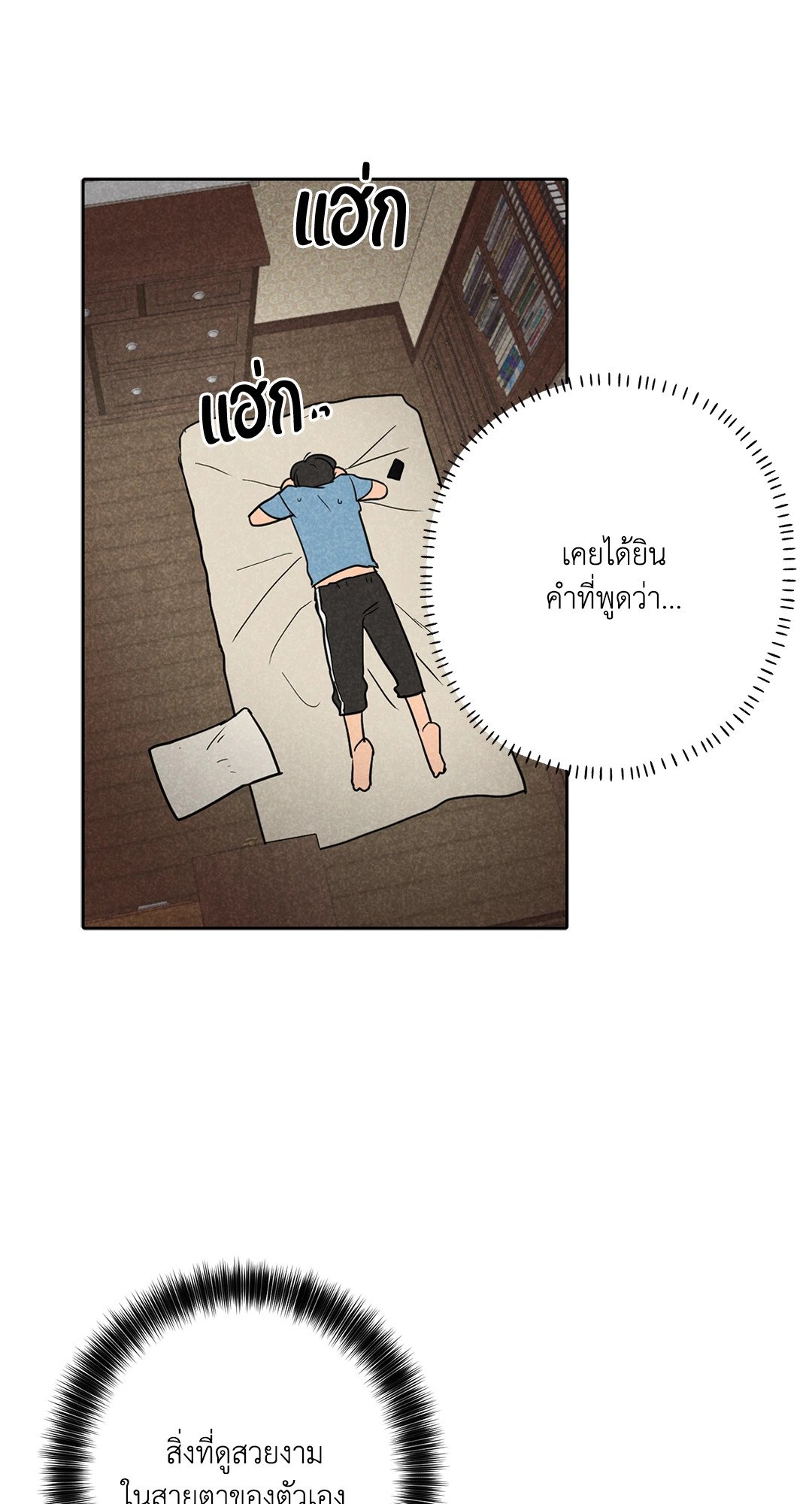 หน้า 41