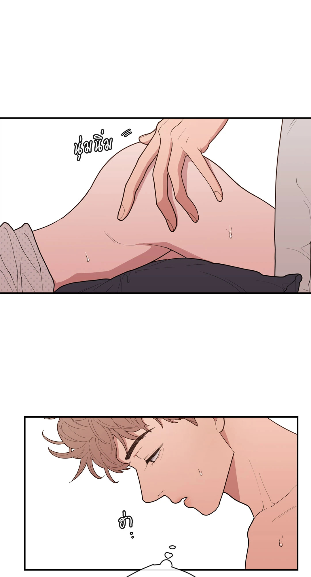 หน้า 42