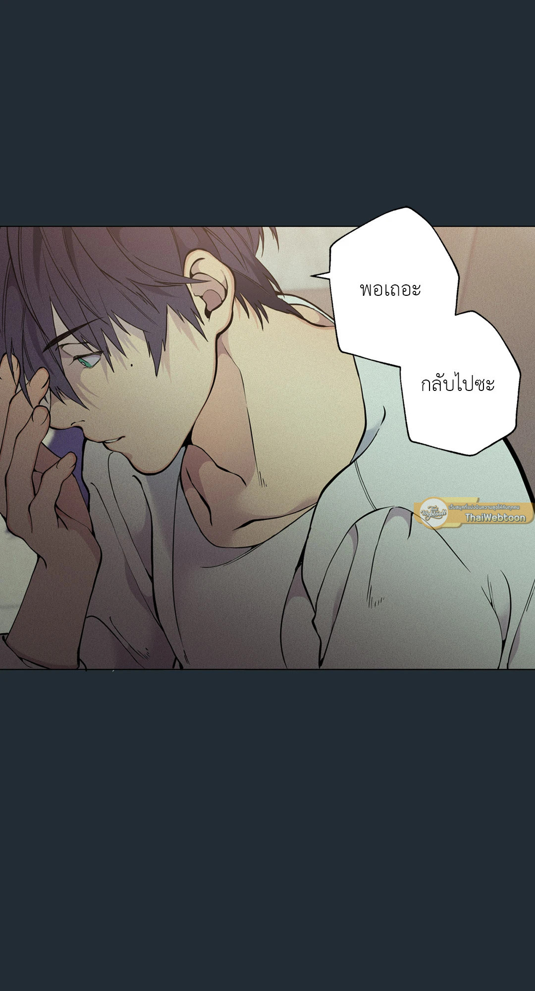 หน้า 85