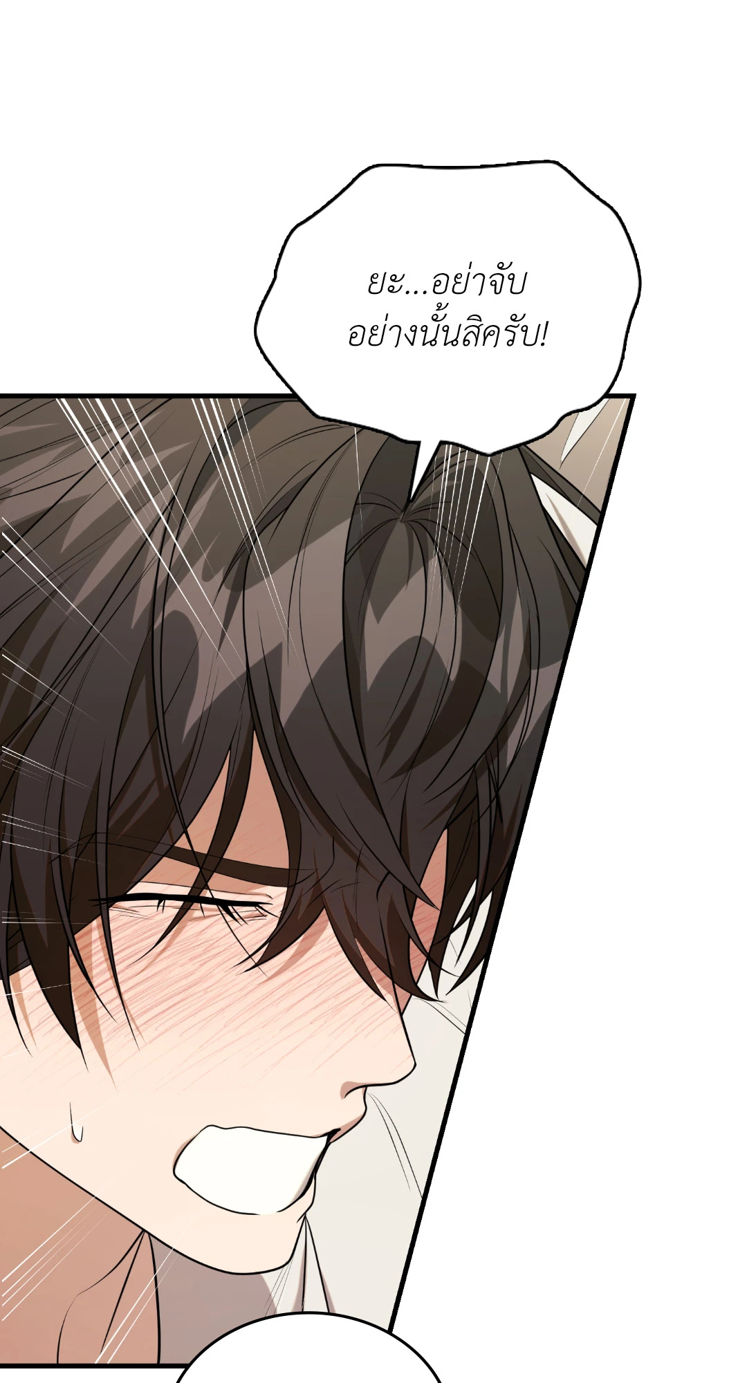 หน้า 102