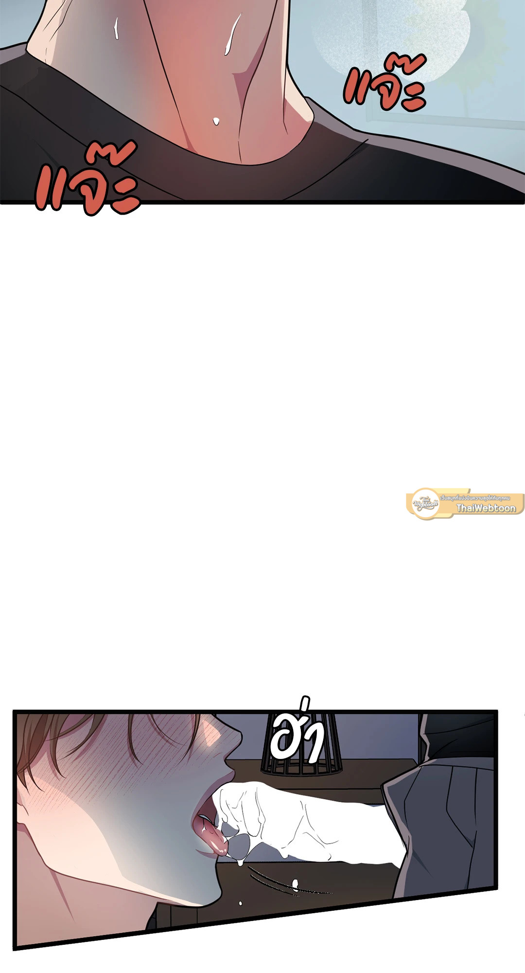 หน้า 43