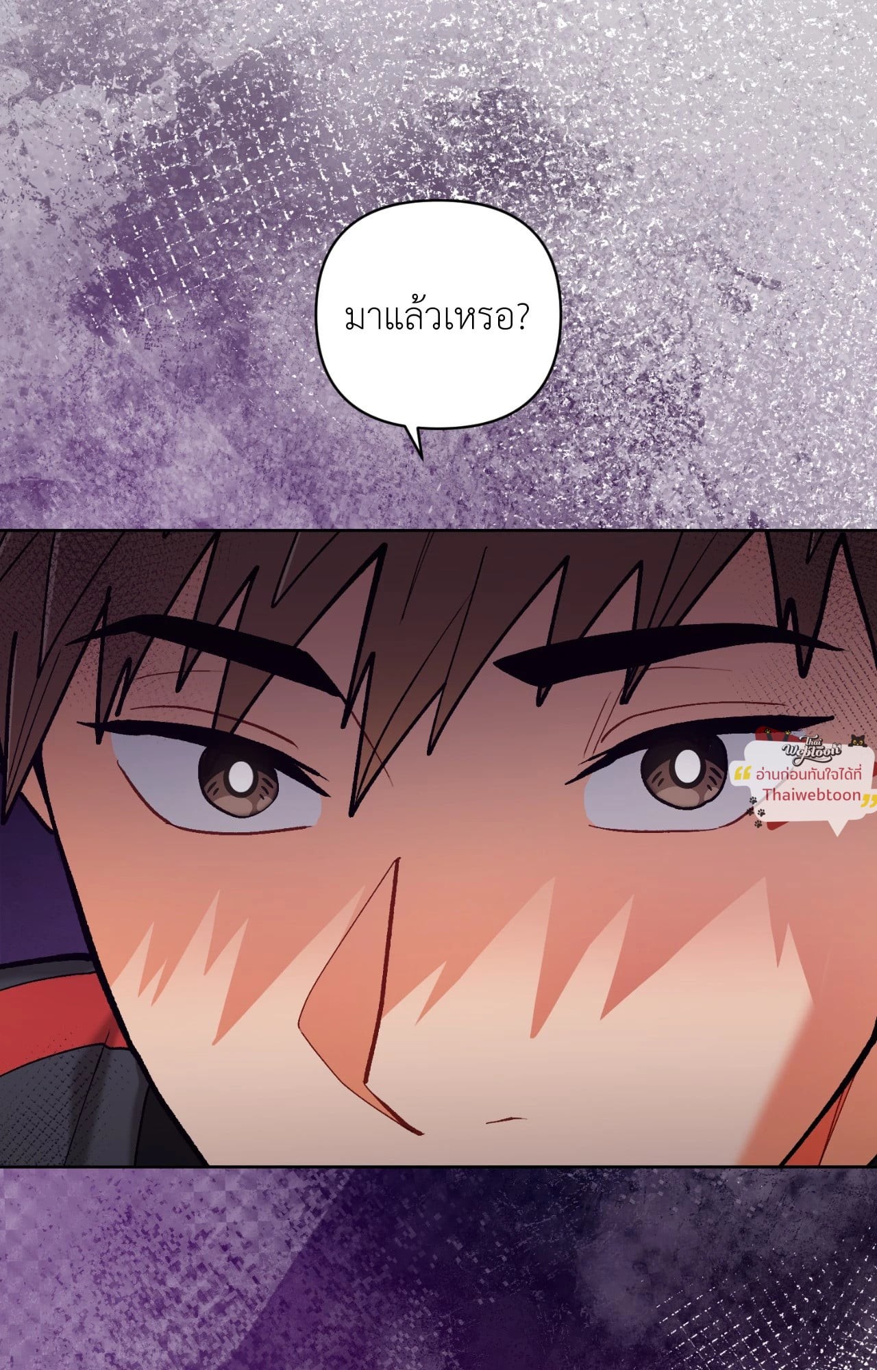หน้า 100