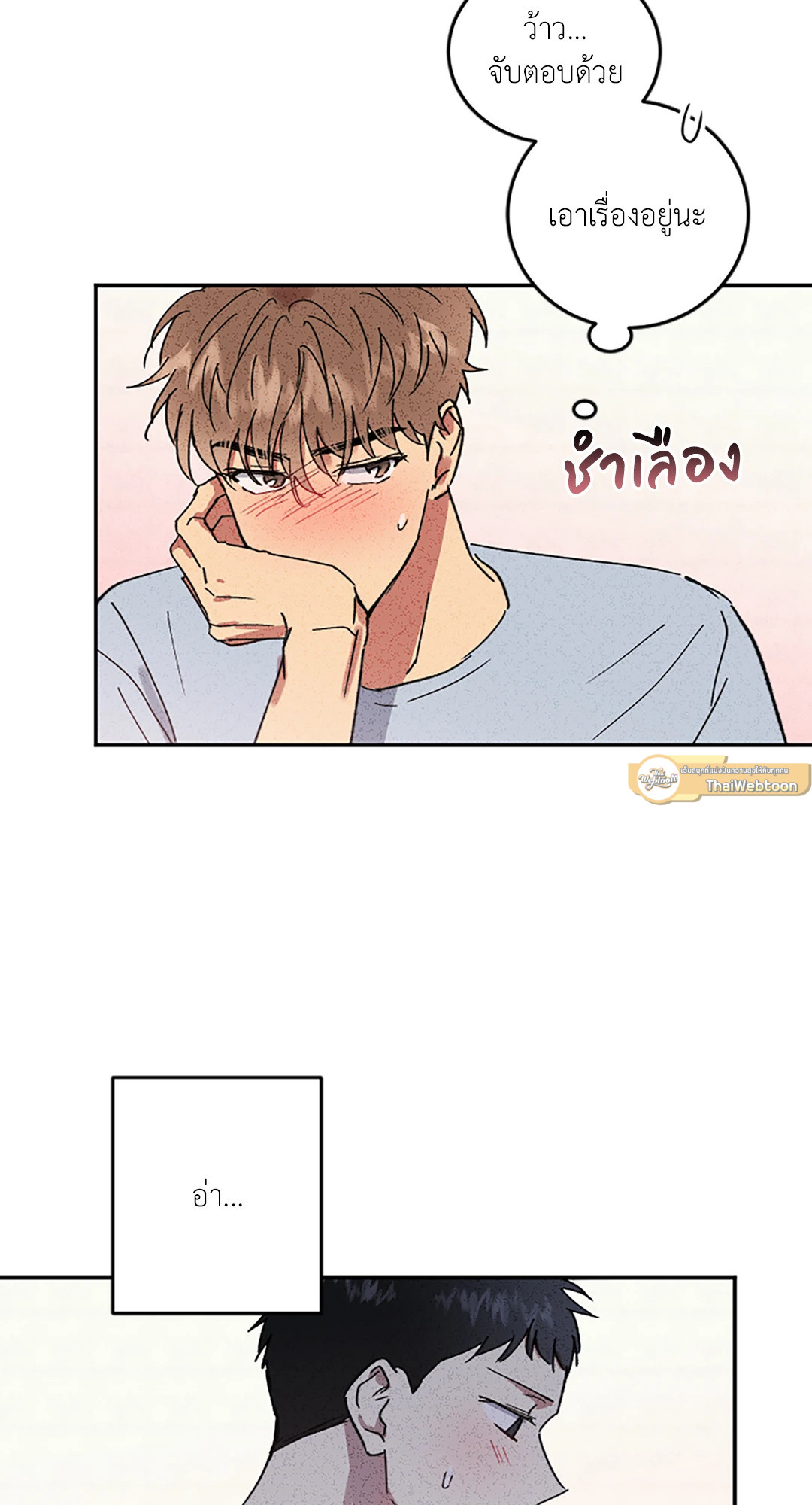 หน้า 43