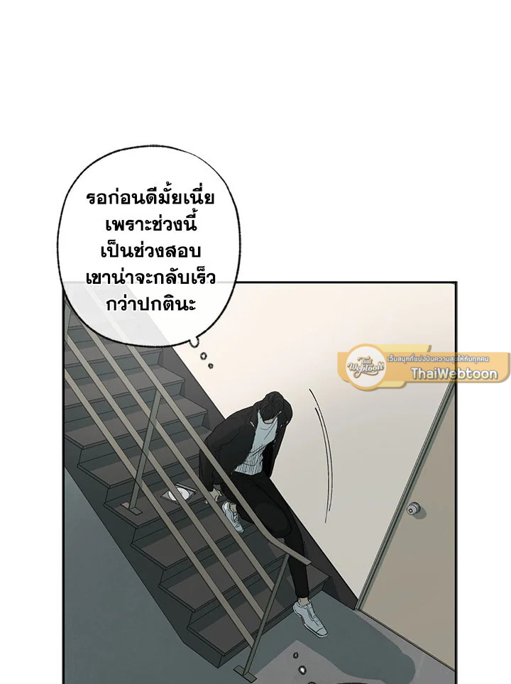 หน้า 81