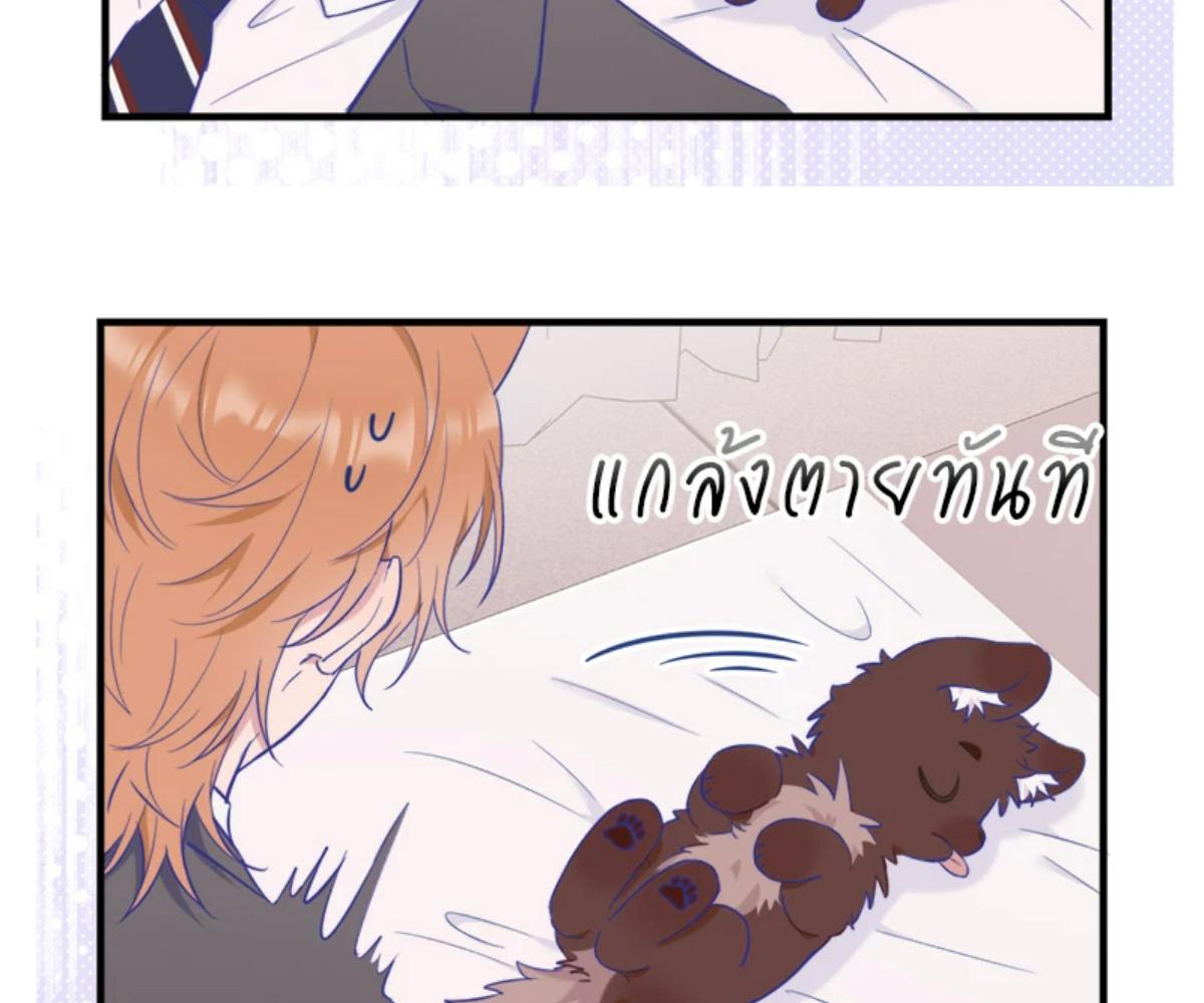 หน้า 33