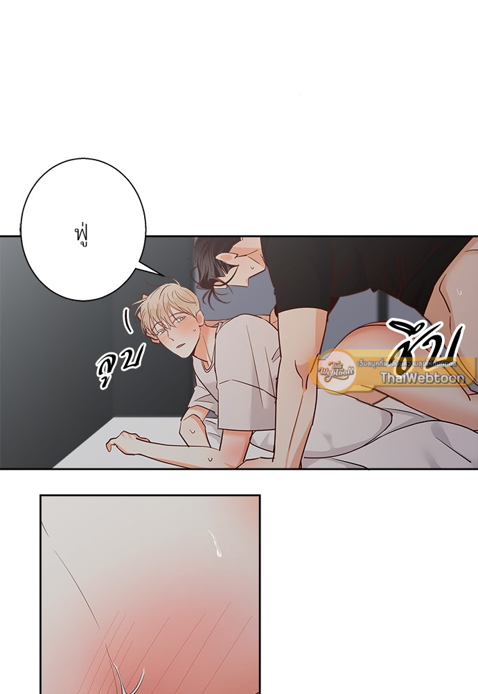 หน้า 41