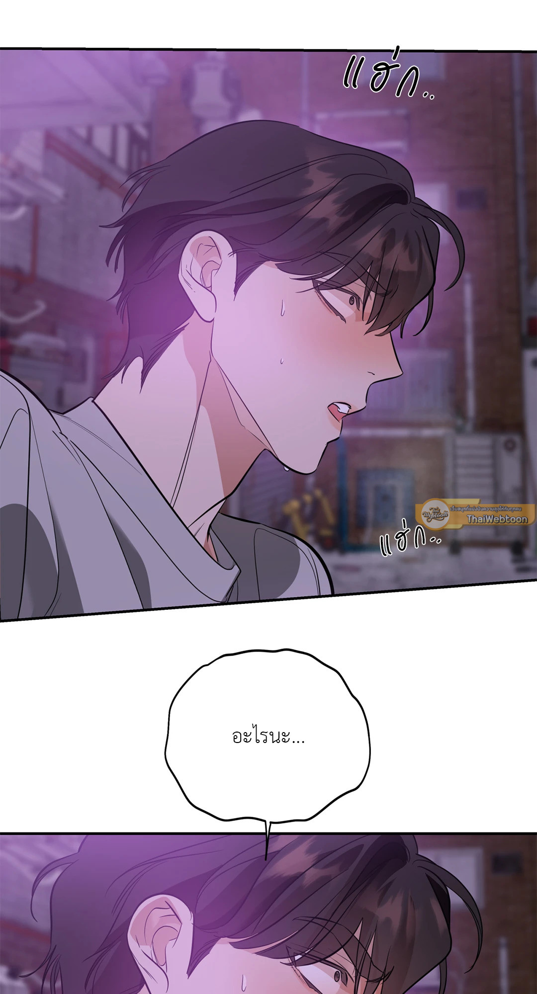 หน้า 33