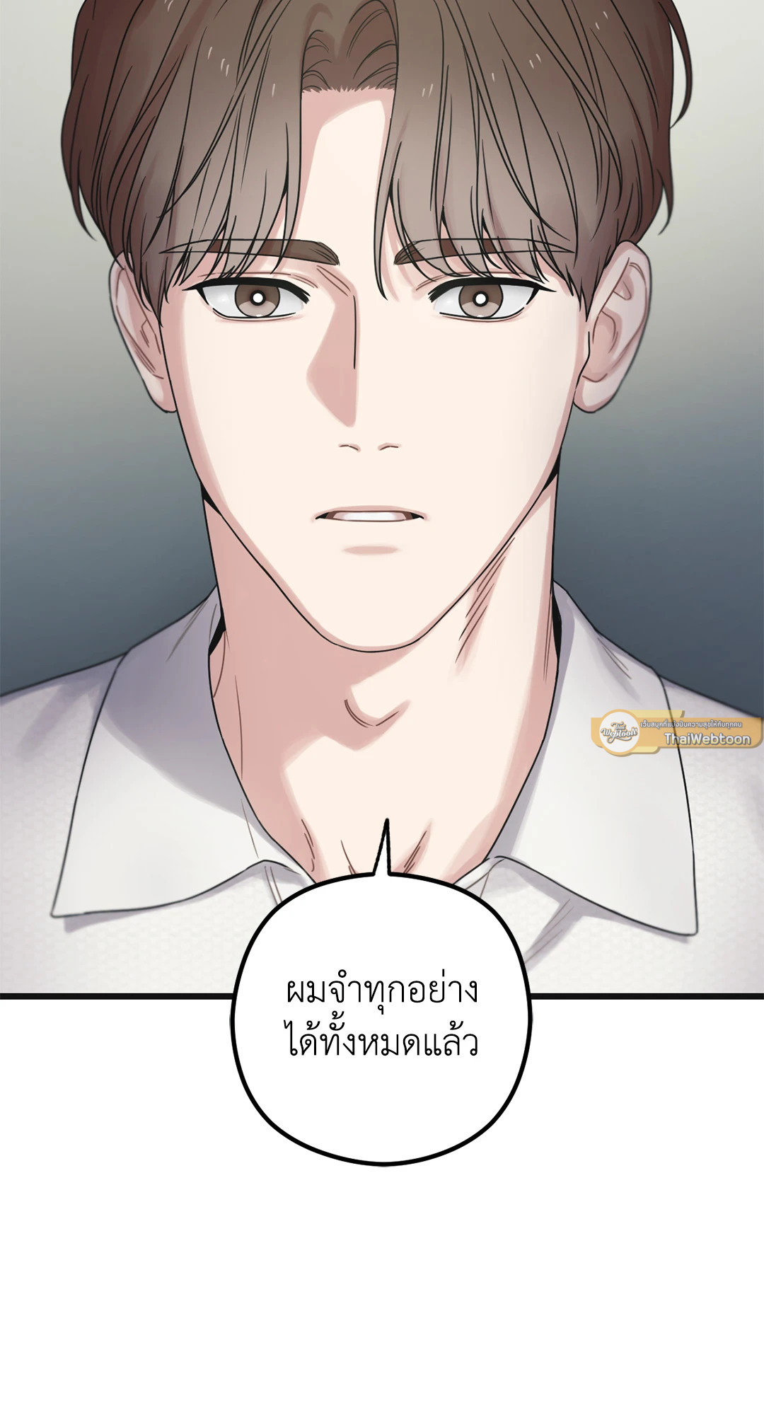 หน้า 100