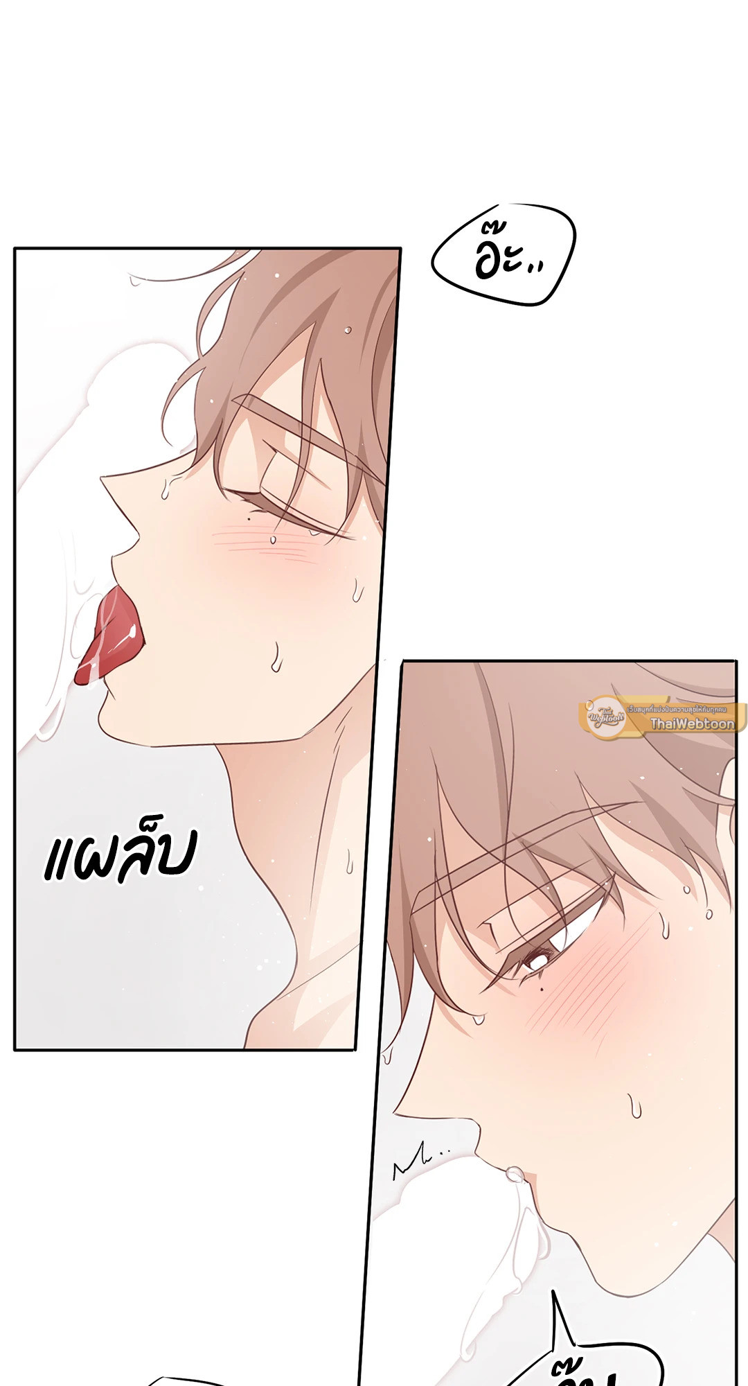 หน้า 5
