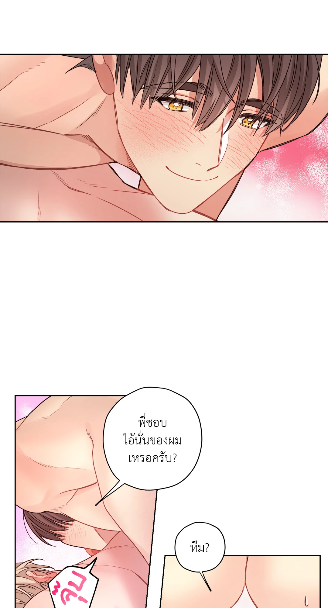หน้า 43