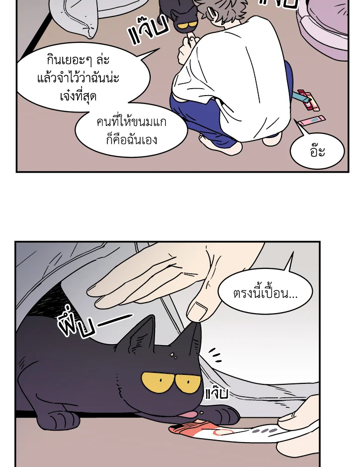 หน้า 49