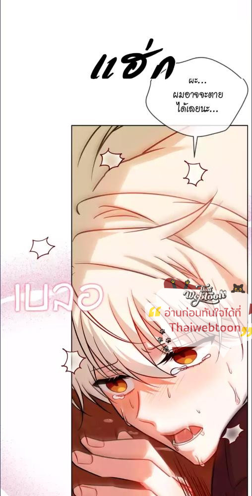หน้า 81