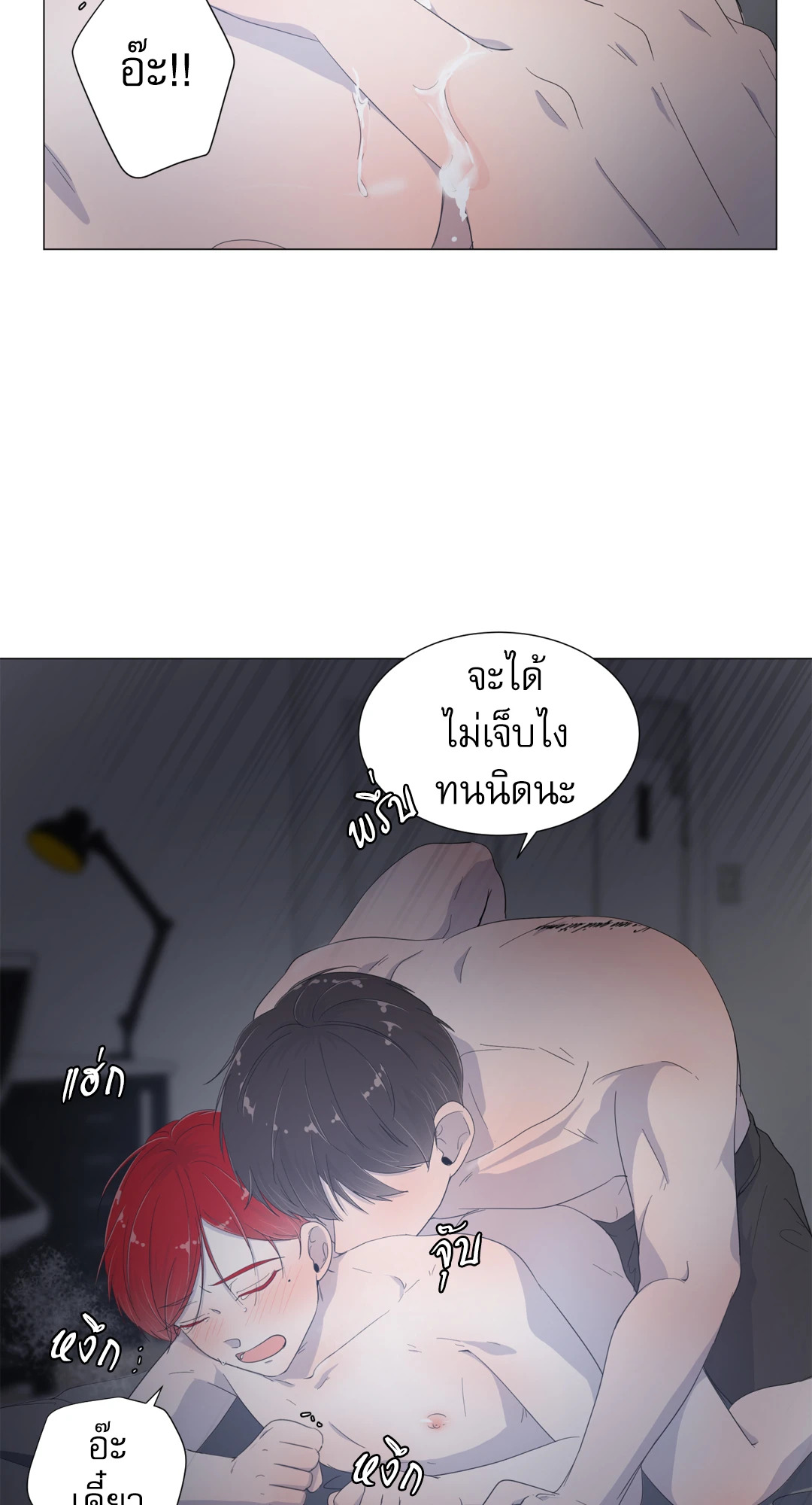 หน้า 41