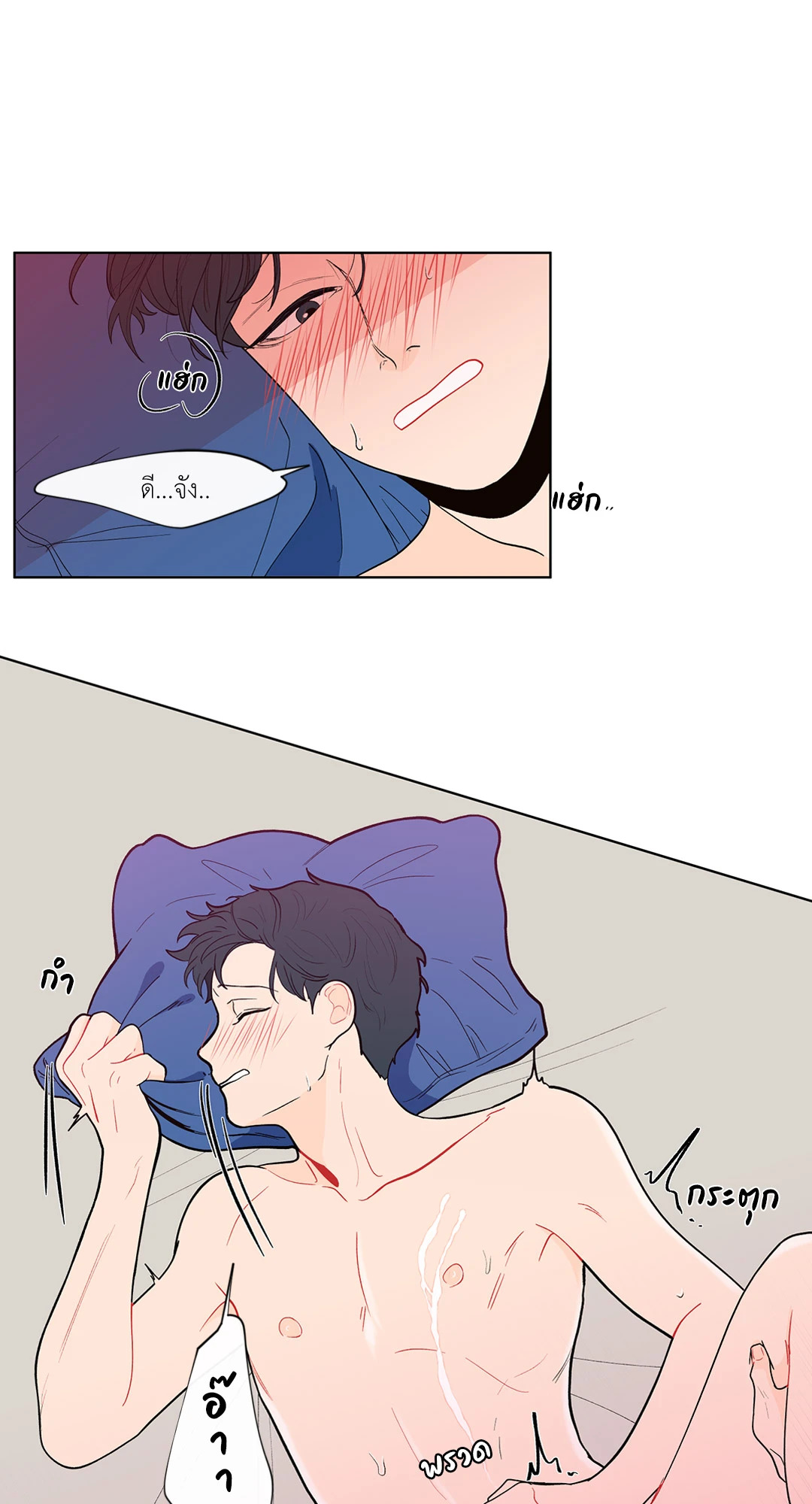 หน้า 29