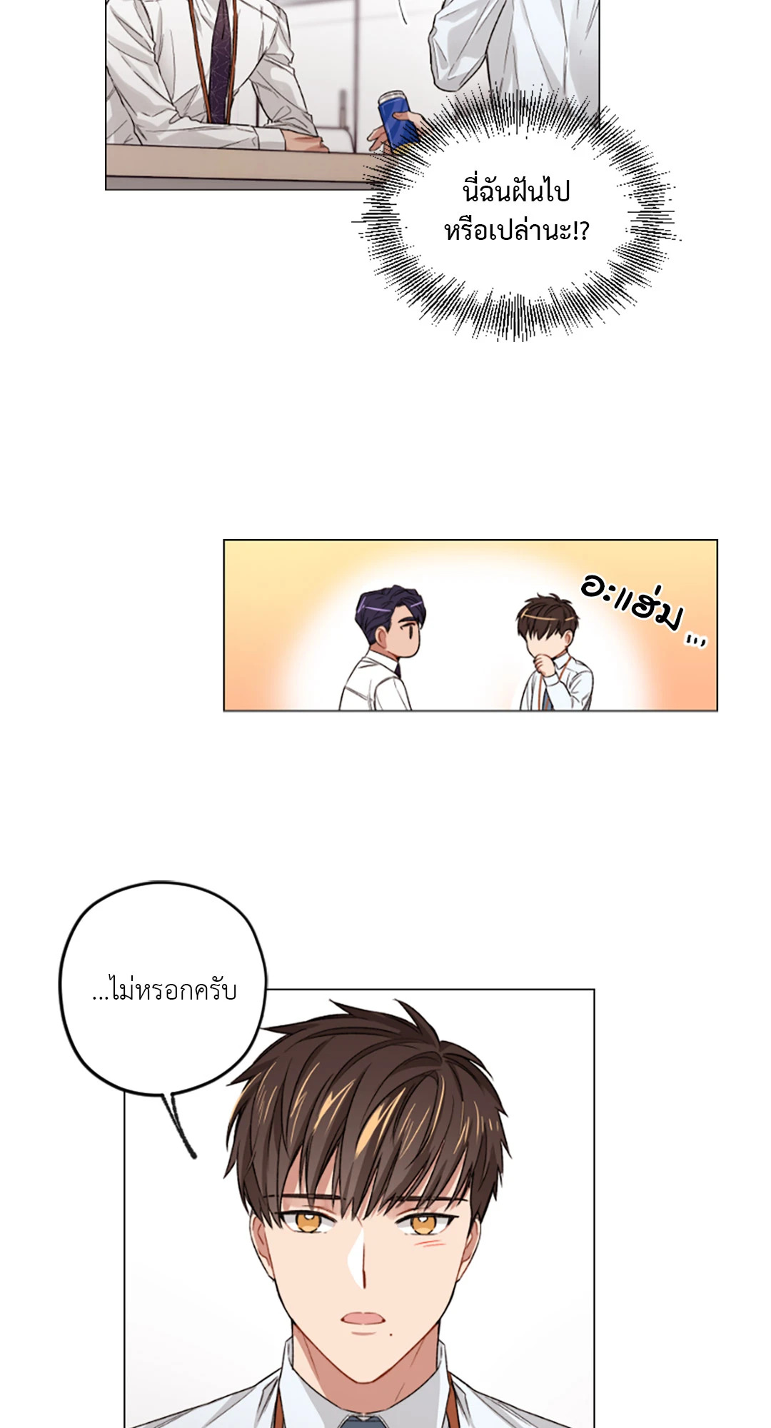 หน้า 33