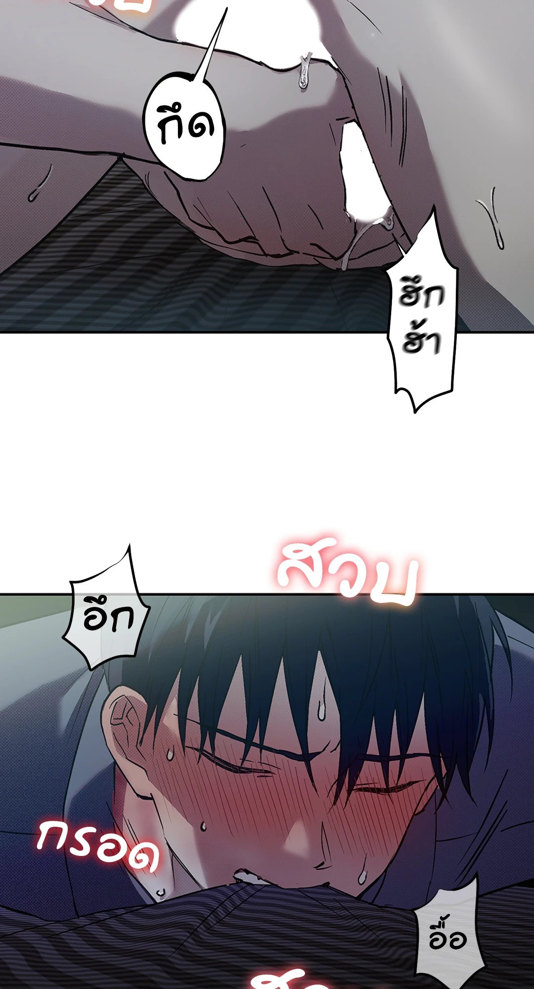 หน้า 24