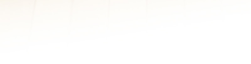 หน้า 113