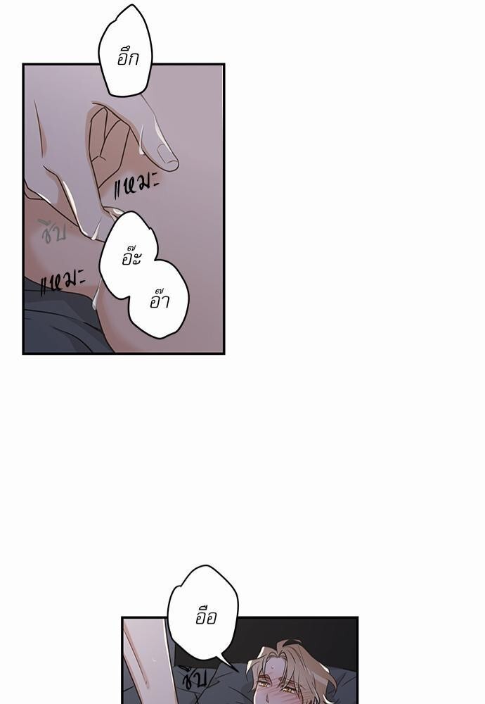 หน้า 41
