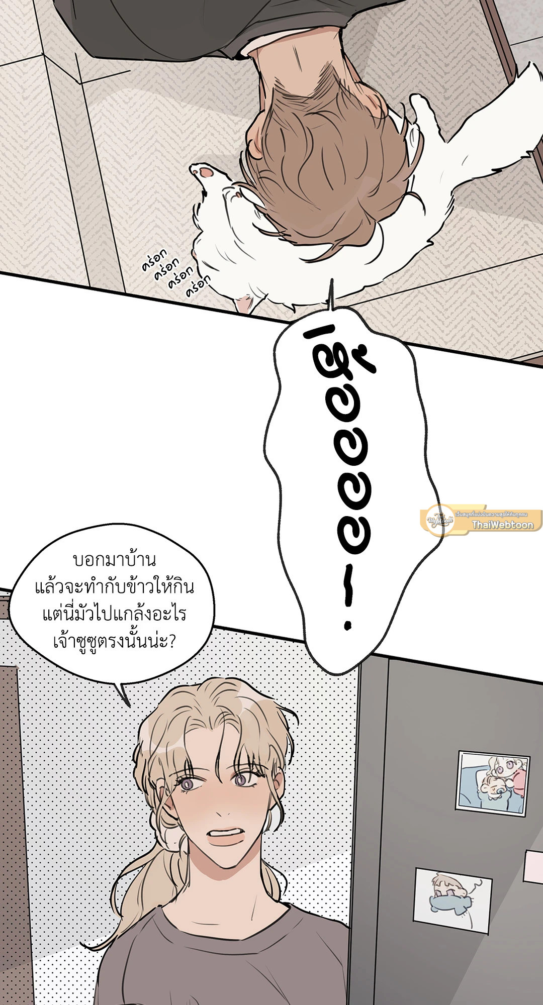 หน้า 51