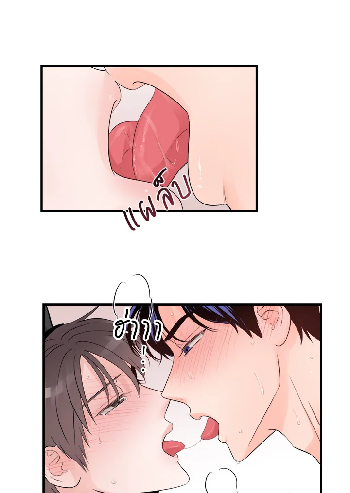 หน้า 41