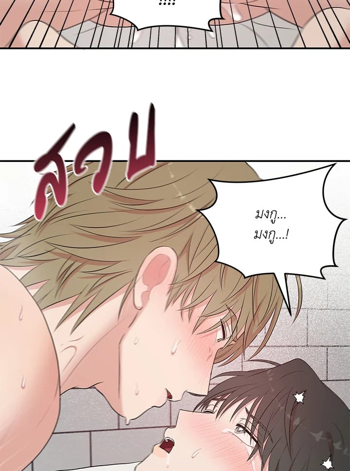 หน้า 43