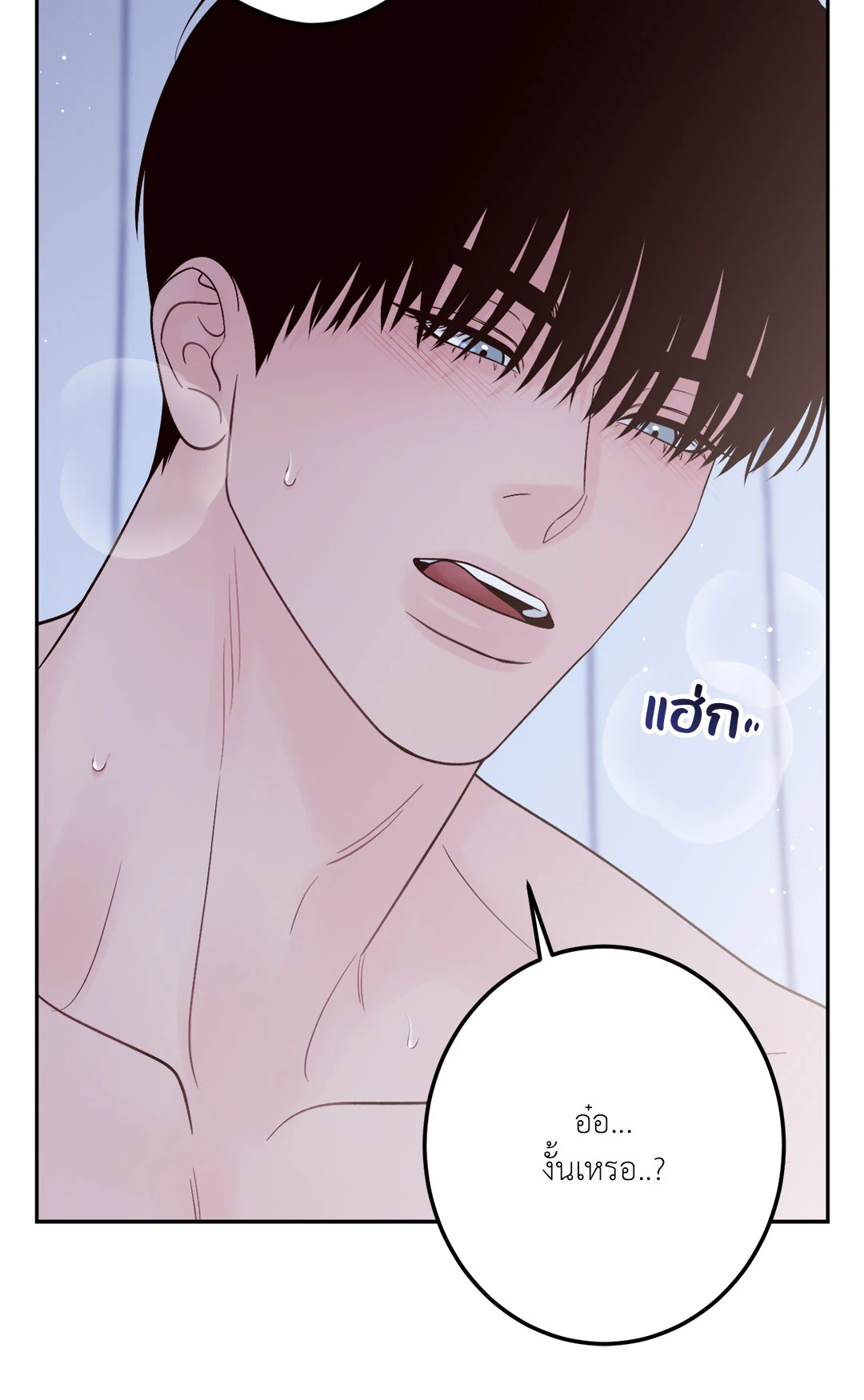 หน้า 81