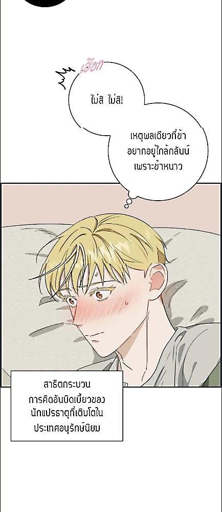 หน้า 29