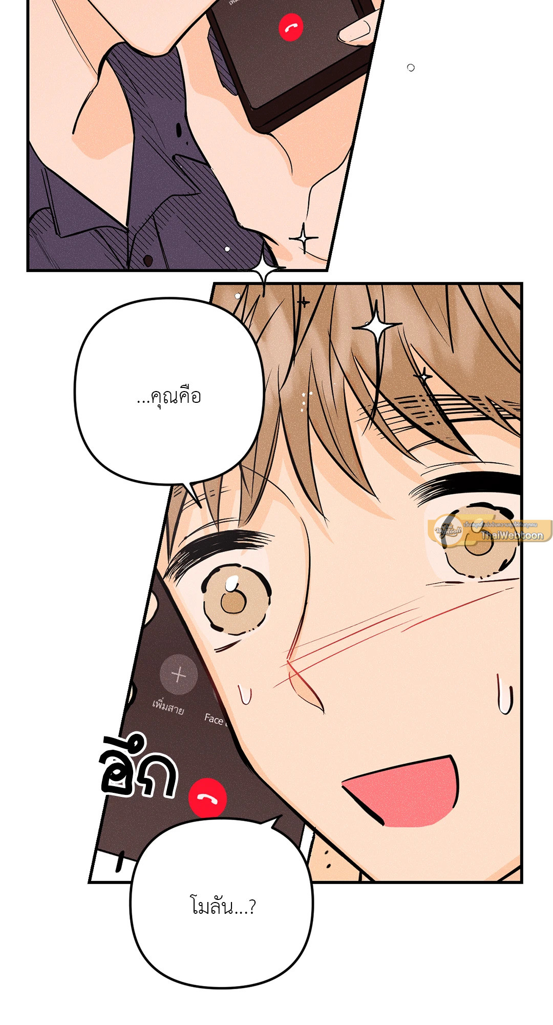 หน้า 41