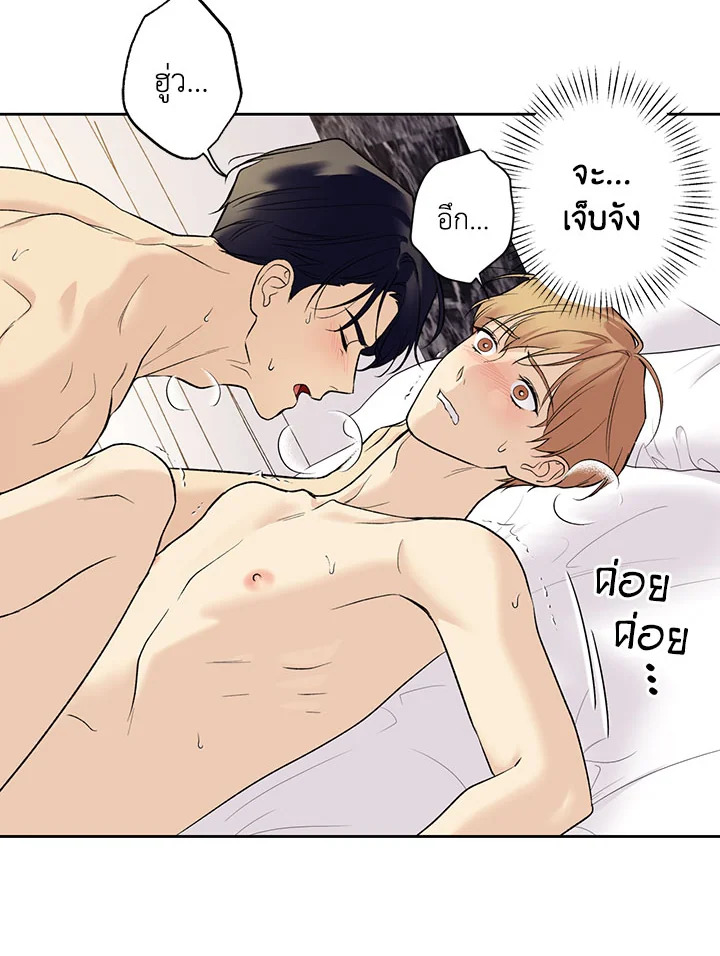 หน้า 52