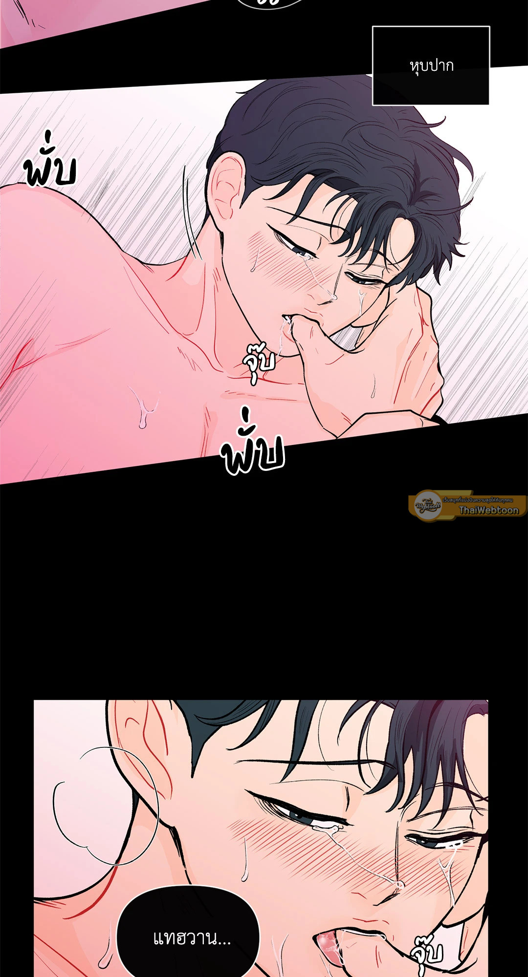 หน้า 43