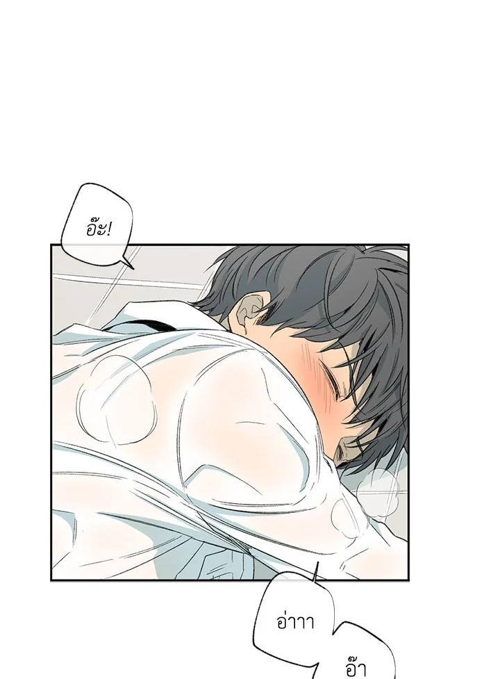 หน้า 43