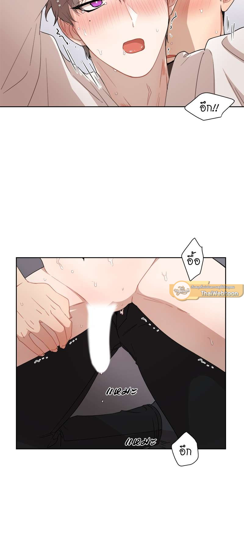 หน้า 24